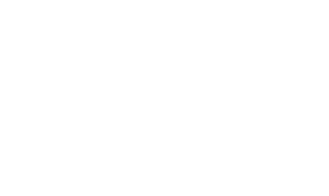 Willow Bonde